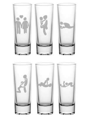 Naughty Sex Positions Engraved Shot Glasses Set of 6