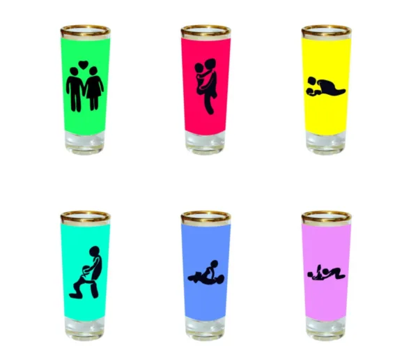 Naughty Sex Positions Engraved Shot Glasses Set of 6