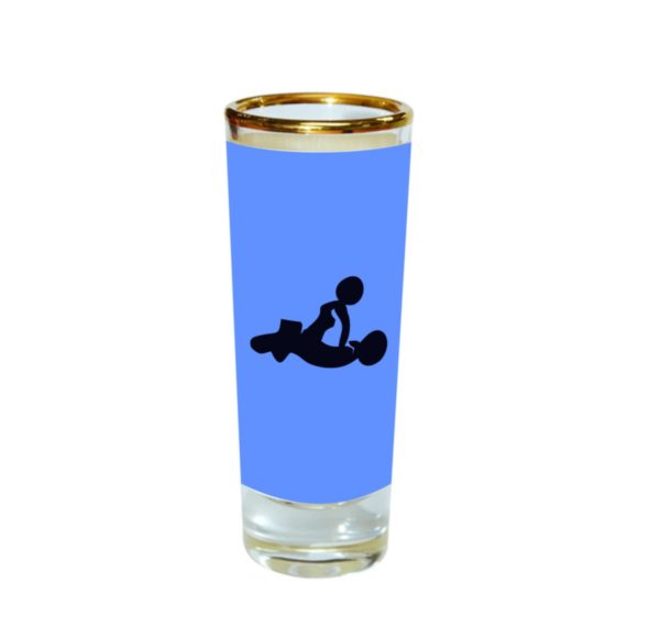 Naughty Sex Positions Engraved Shot Glasses Set of 6