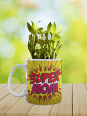 Super Mom Lucky Bamboo Planter With Mug