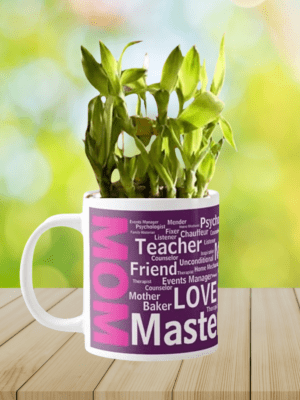 Masterchef Mom Lucky Bamboo Planter