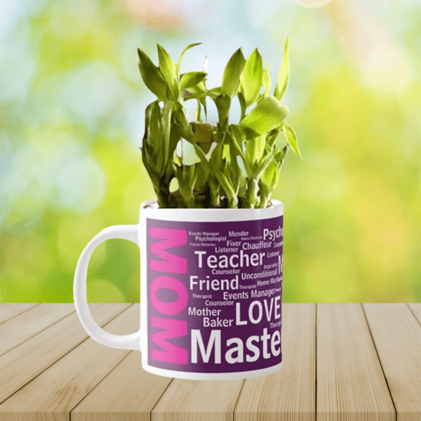 Masterchef Mom Lucky Bamboo Planter