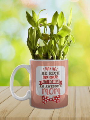 Awesome Mom Lucky Bamboo Planter