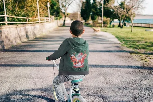 Green - Bear Face Christmas Hoodie