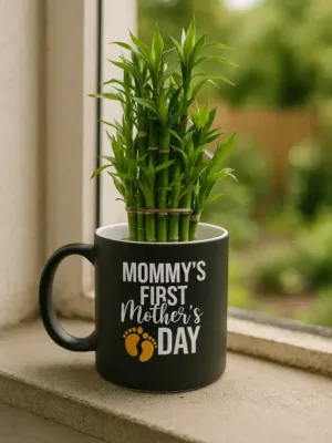 First Mother's Day Lucky Bamboo Planter With Mug