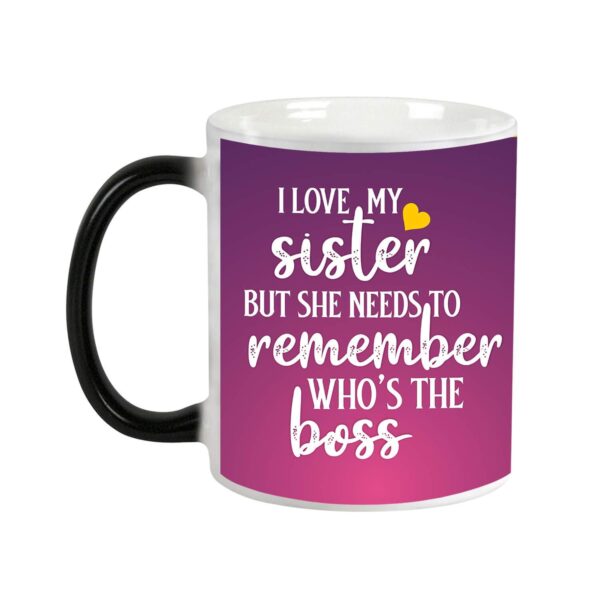 I Love My Sister Funny Quote Gift for Sister Cushion Cover