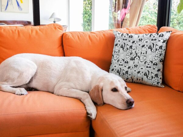 Cute Cartoon Black White Cushion with Filler 12x12 inches